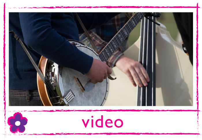 Shrewsbury Folk Festival on video