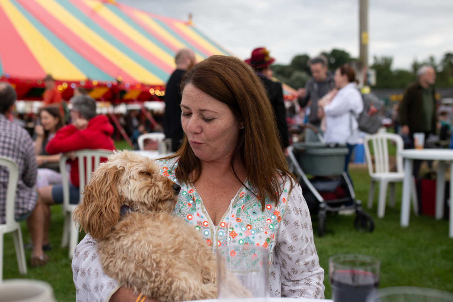 Dog Friendly Festival - Shrewsbury Folk Festival